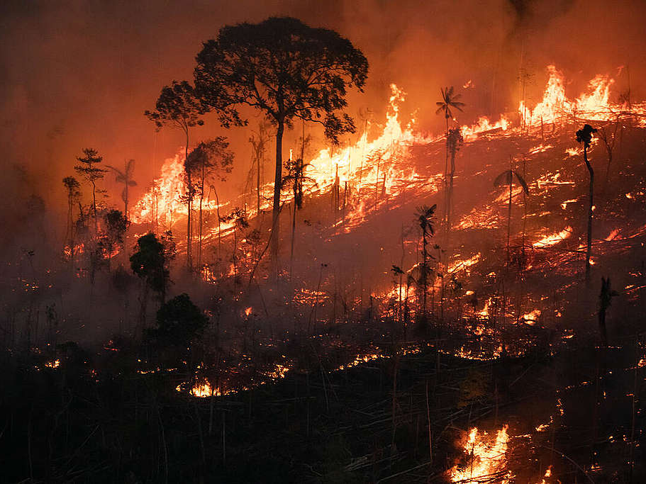 Wildfire